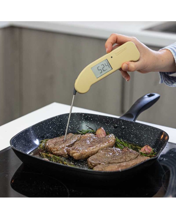 Thermapen ONE Fudge Steak