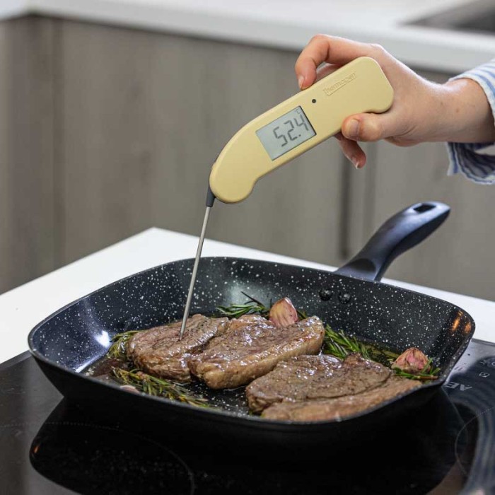 Thermapen ONE Fudge Steak