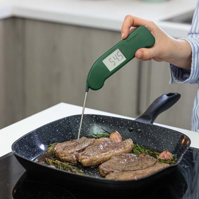 Thermapen ONE BRG Steak