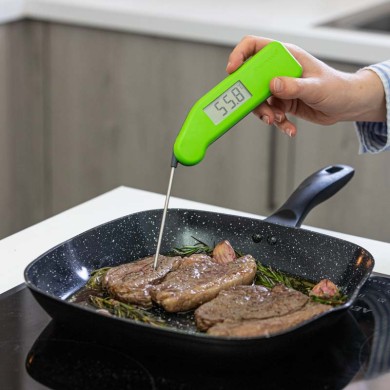 Thermapen Classic Yellow - Green