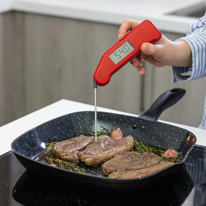 Thermapen Classic Yellow - Red