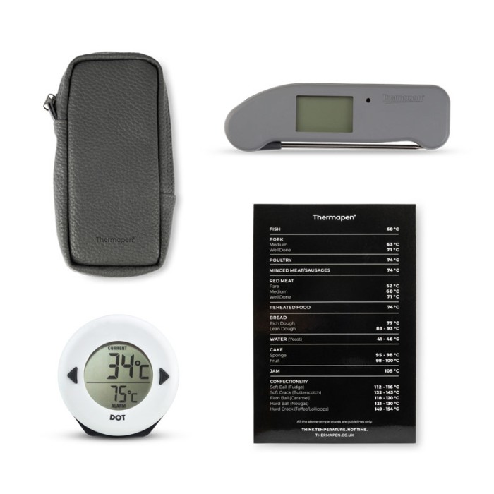 Grey Thermapen® ONE Set with DOT