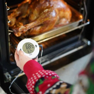 Thermapen | Dot Digital Oven Thermometer