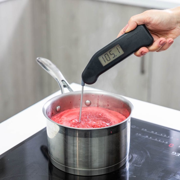Thermapen Classic, DOT, Pouch and Magnet Set