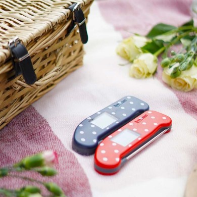 Thermapen ONE Thermometer | Limited Edition Prints