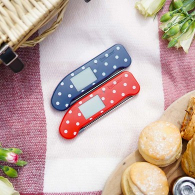 Thermapen ONE Thermometer | Limited Edition Prints