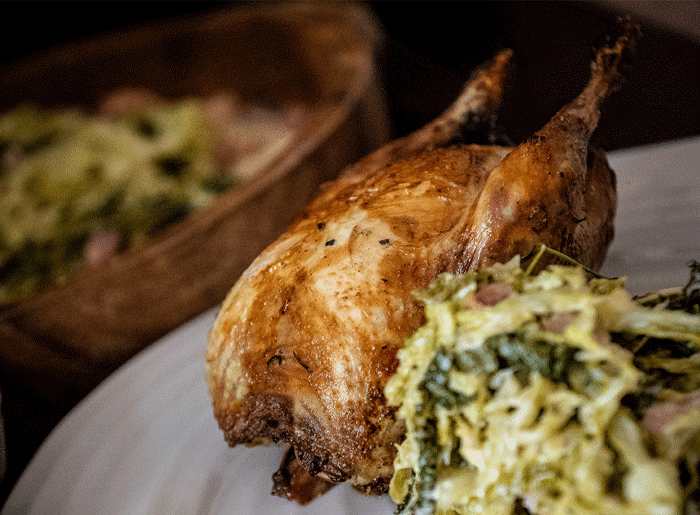 A white plate with whole roast partridge and creamy bacon cabbage