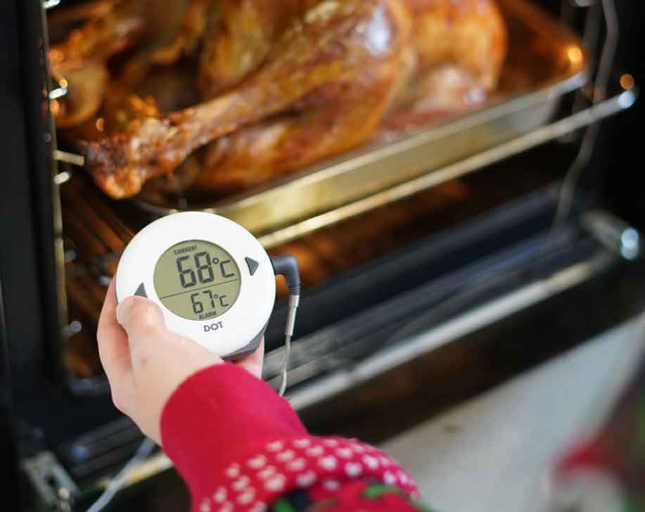 Hand holding the DOT Digital Alarm therometer with a blurred out turkey in the background in the oven