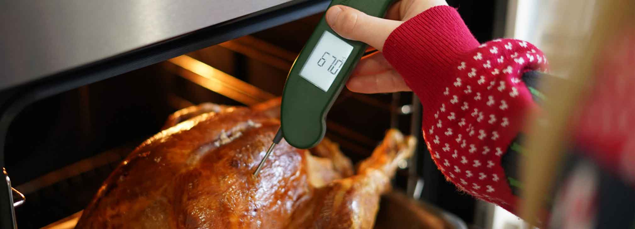 BRG Thermapen taking the temperature of a turkey in the oven