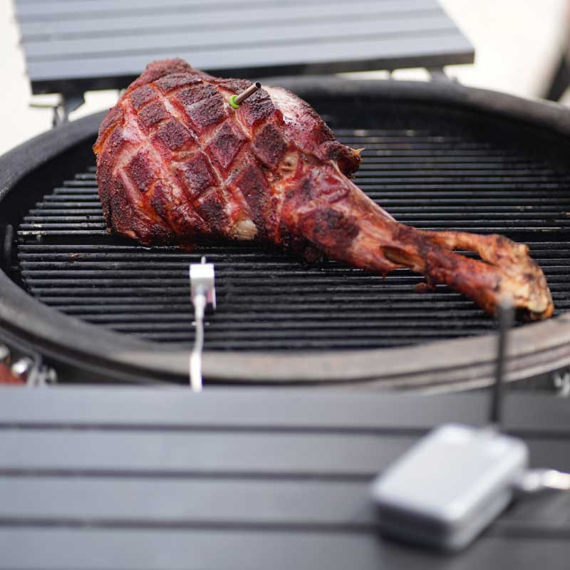 RFX Starter Kit with 1 Probe - RFX Starter Kit – 1 Probe