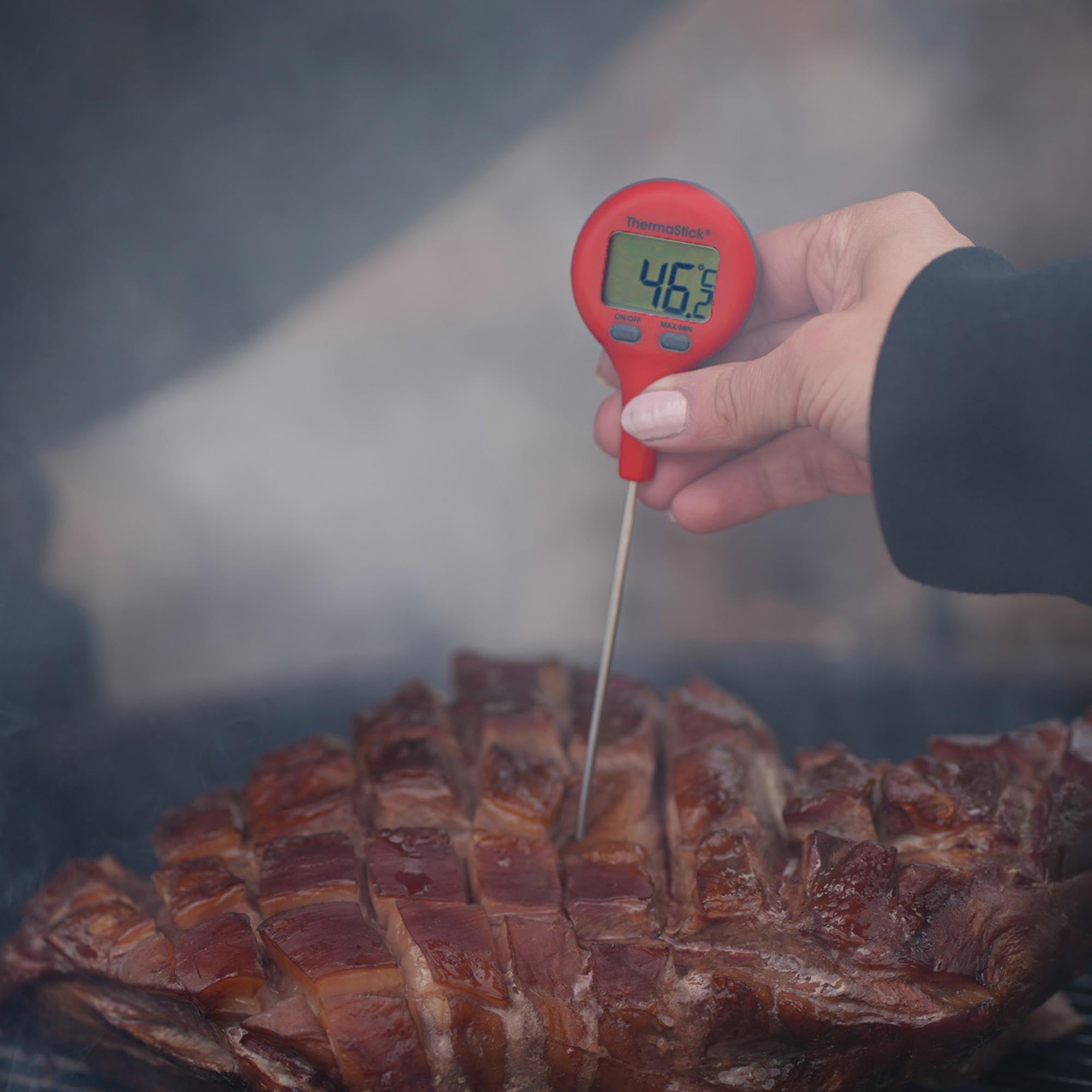 ThermaStick® Pocket Thermometer - Red