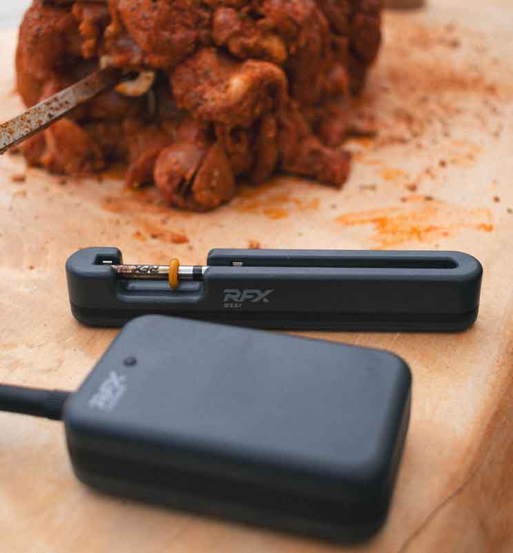 gateway and rfx probe next to chicken shawarma