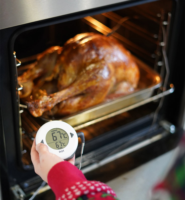 A person holding a DOT thermometer with a turkey in the oven in the background