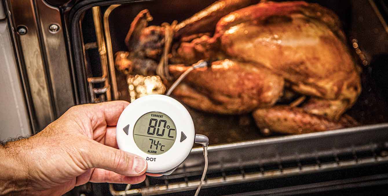 Hand holding the DOT oven thermometer, turkey in the oven in the backgound