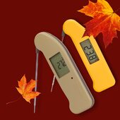 🍂 Pinch punch, first day of the month! 🍂 Say hello to October with our cosy autumn colours – the warm and creamy Vanilla Fudge and bright, golden Yellow! Perfect for all your seasonal cooks.

Which is your favourite colour ?!

#Thermapen #foodthermometer #autumnvibes🍁 #autumncolours #autumncooking